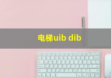 电梯uib dib